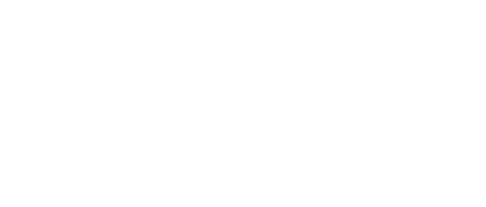 Shelley Video Logo